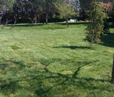 Beylikdüzü Çim ve Bahçe Toprağı 